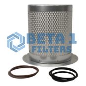 Beta 1 Filters Part Number B1AS0018391 