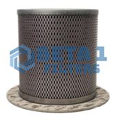 Beta 1 Filters Part Number B1AS0012971 