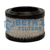 Beta 1 Filters Air Filter  B1AF0009250