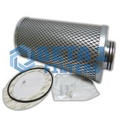 Beta 1 Filters Part Number B1AS0011166 
